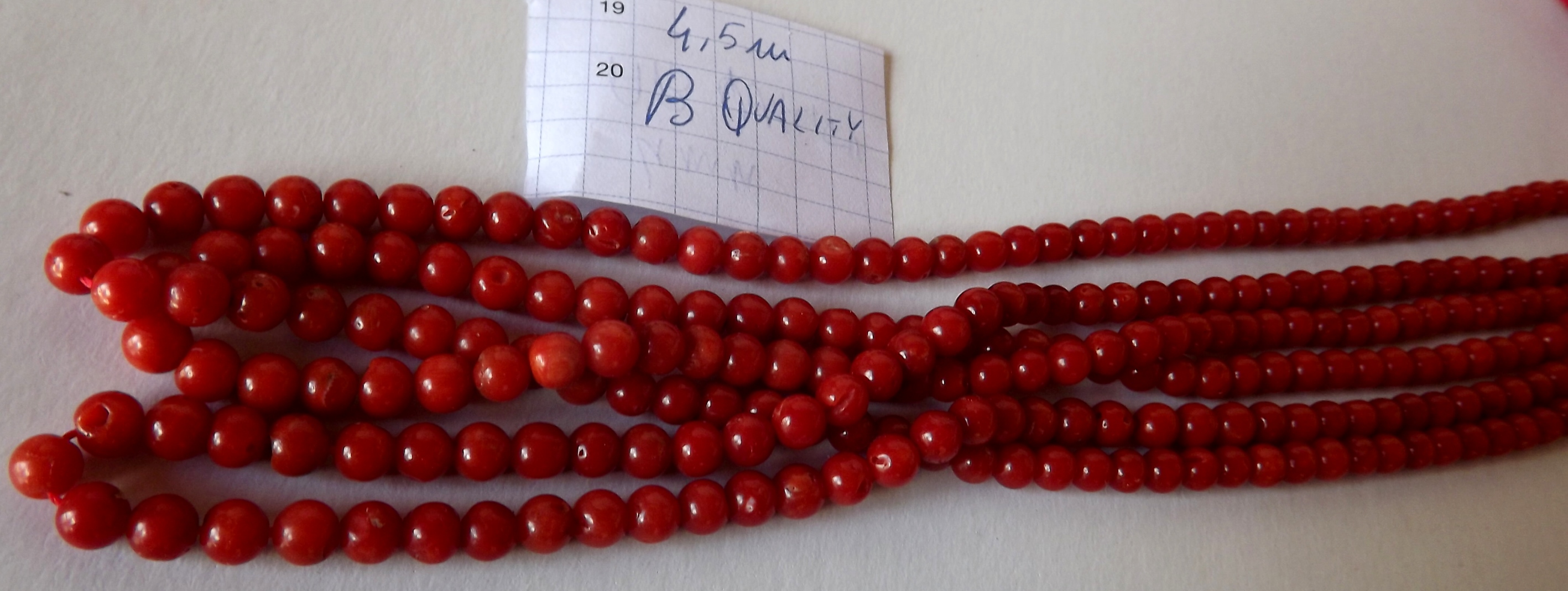 -0004.5.jpg(29115 byte)