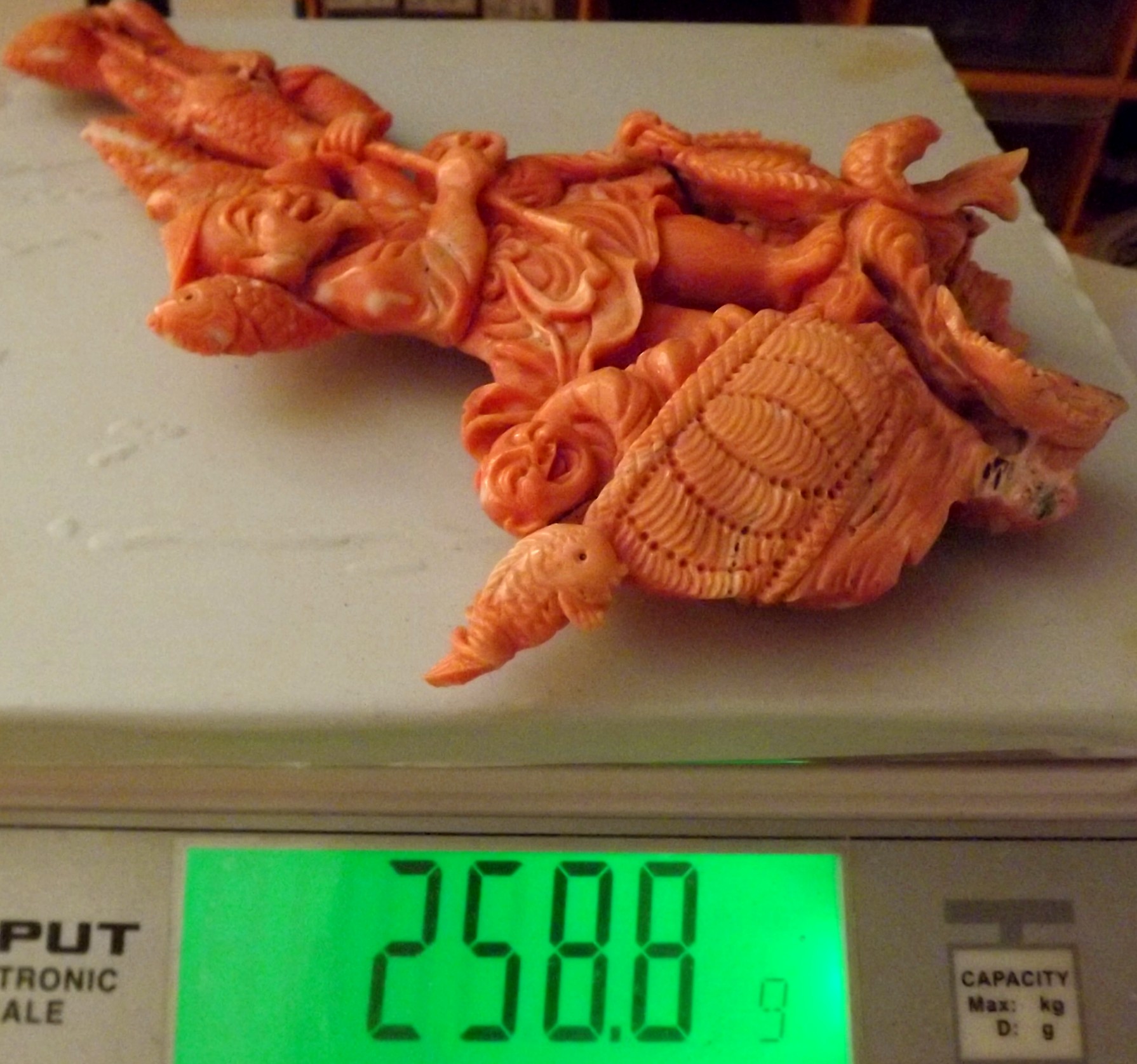 _%25%25pescator2.jpg(29115 byte)