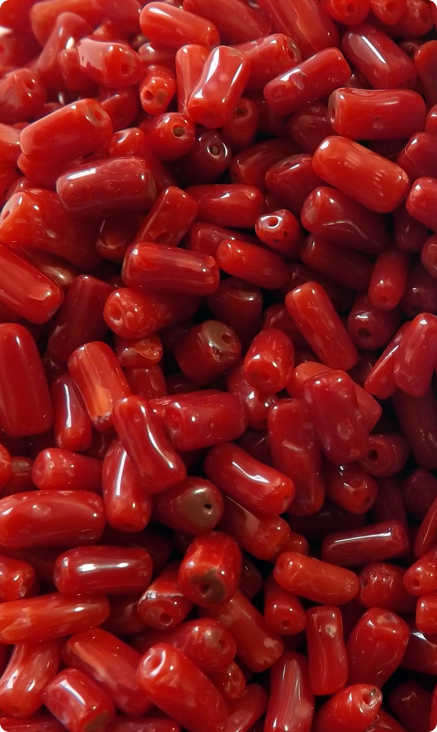cannettin1.jpg(29115 byte)