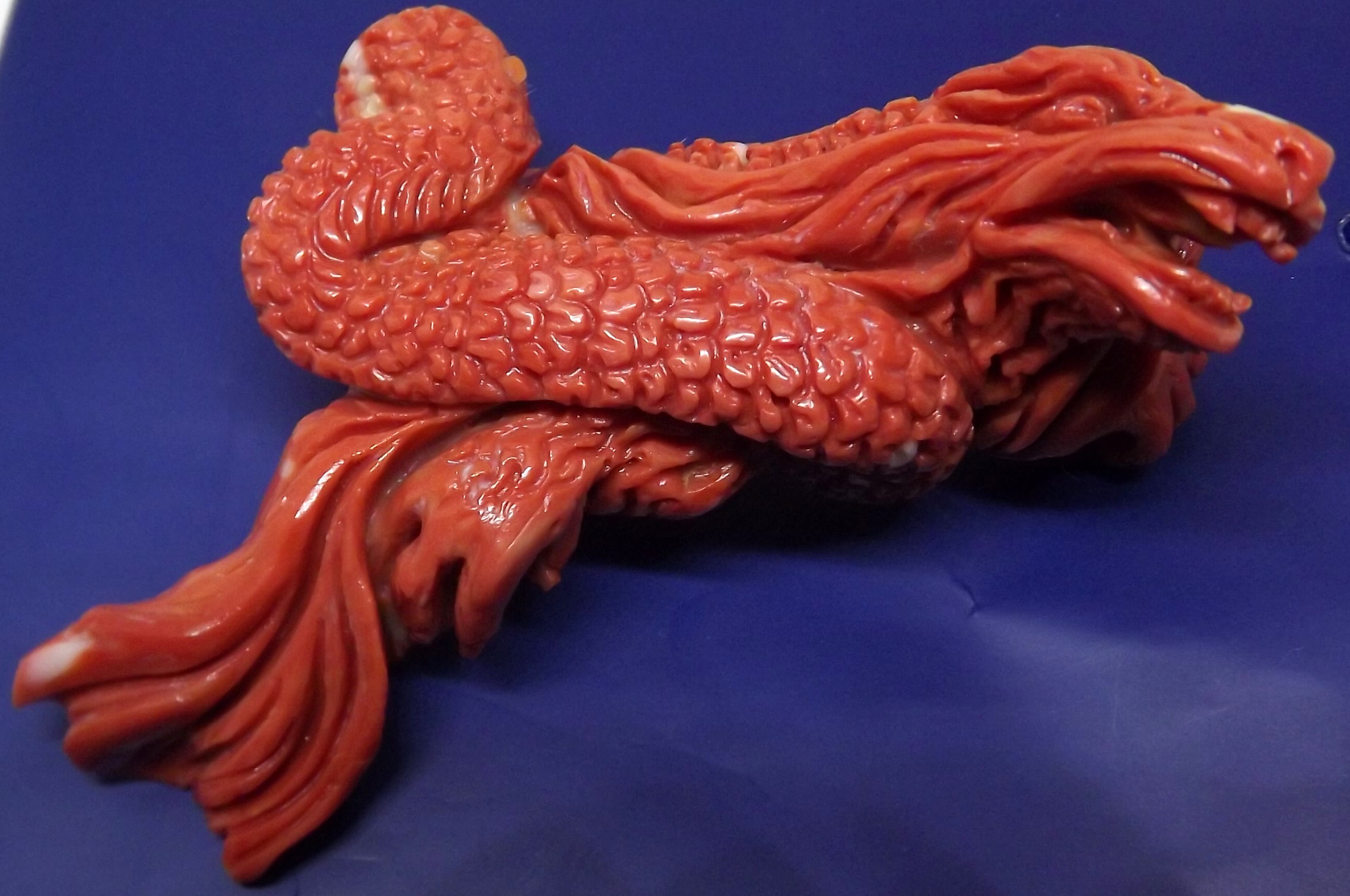 drago3.jpg(29115 byte)